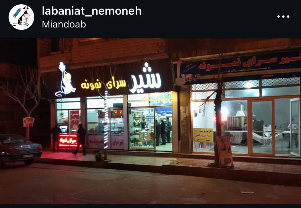 لبنیات نمونه