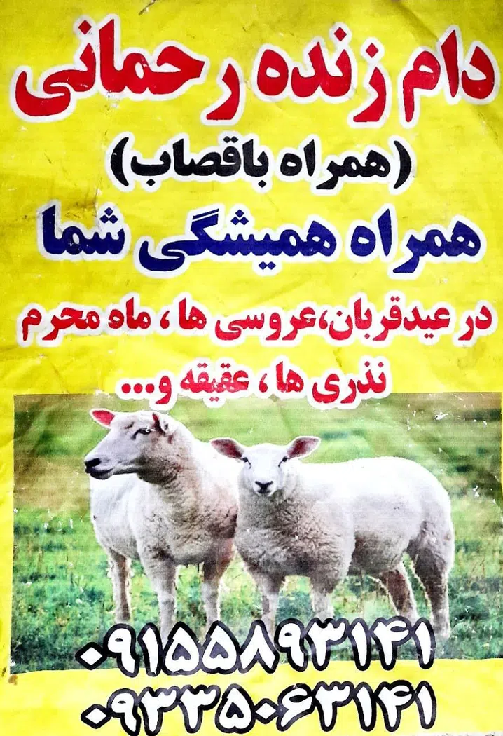 دام زنده رحمانی