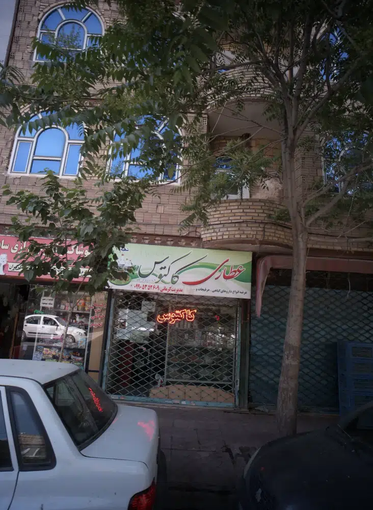 عطاری کاکتوس