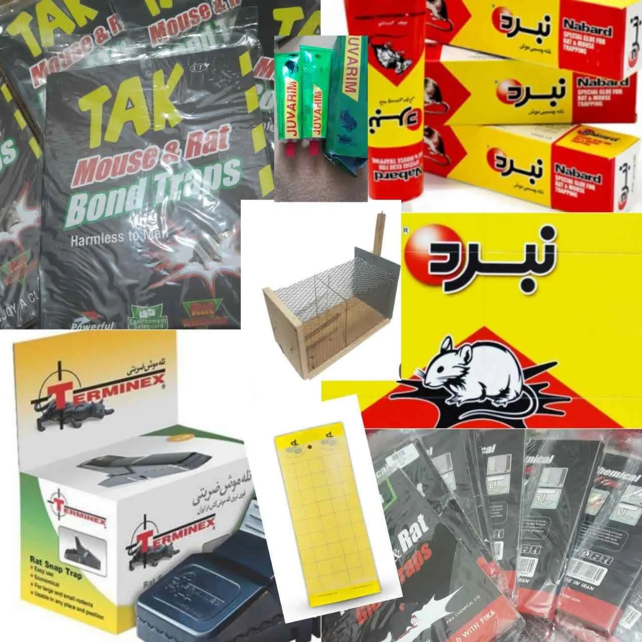 فروشگاه تله و چسب موش