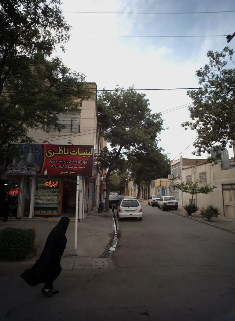 لبنیات ناظری