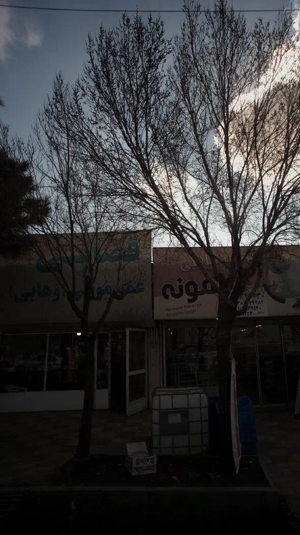قصابی عمو موسی (وهابی)