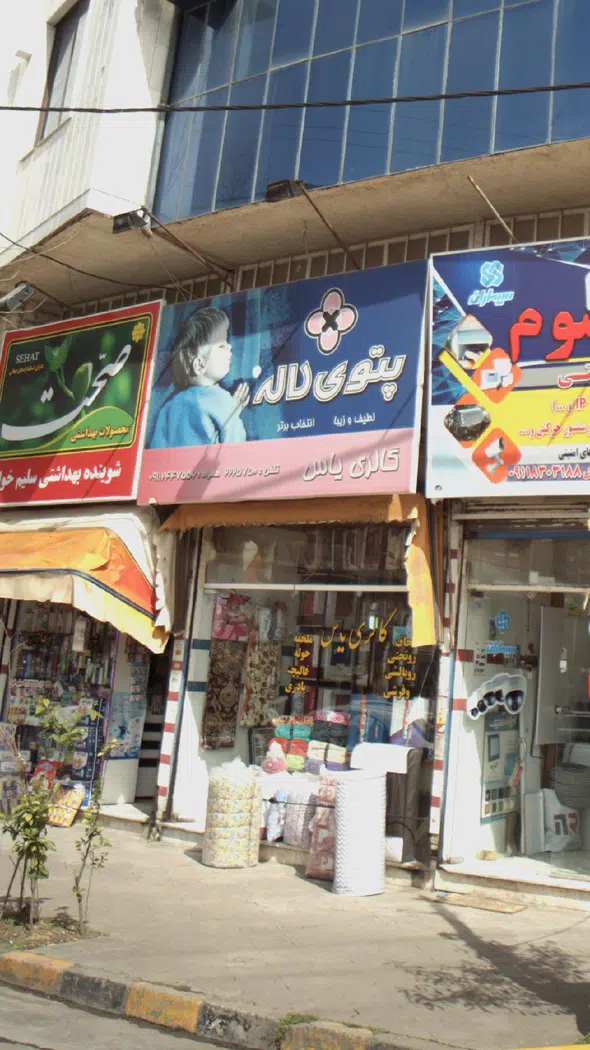 گالری یاس