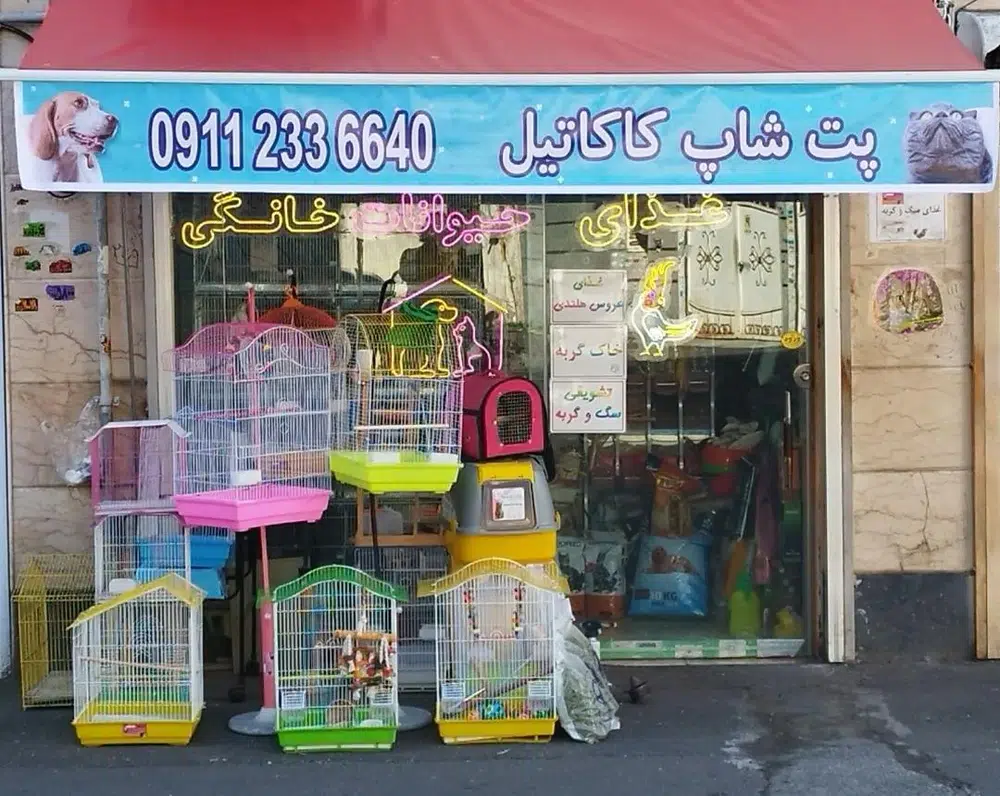 پرنده فروشی رشت کاکاتیل
