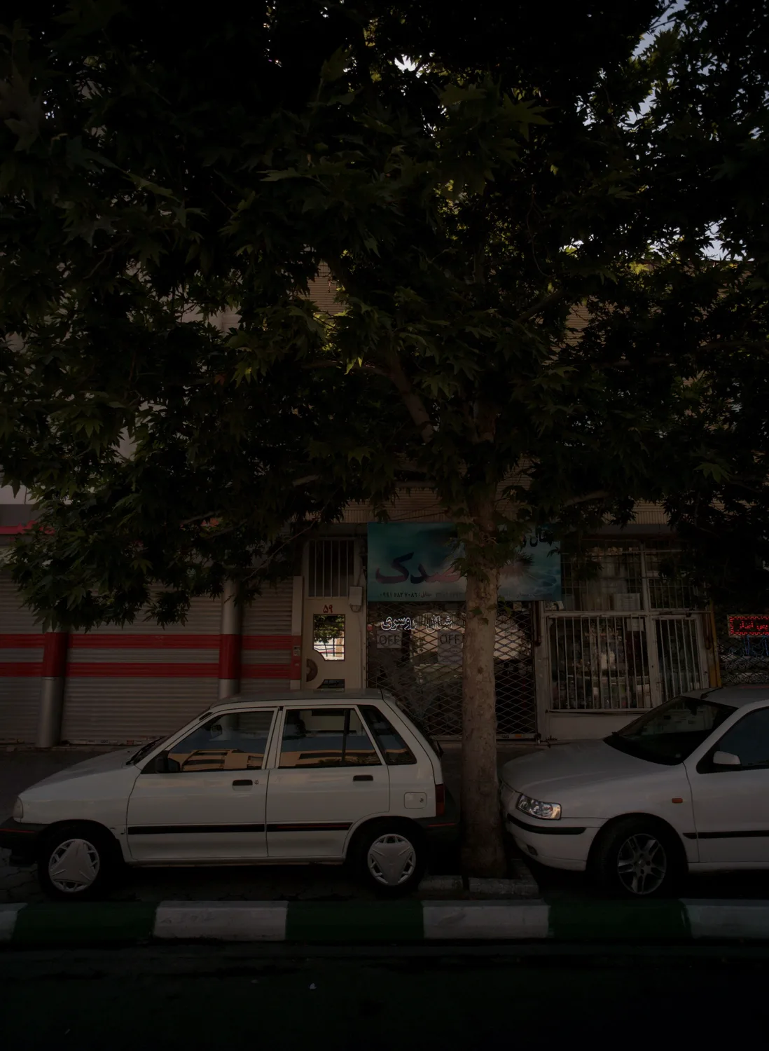 شال و روسری قاصدک
