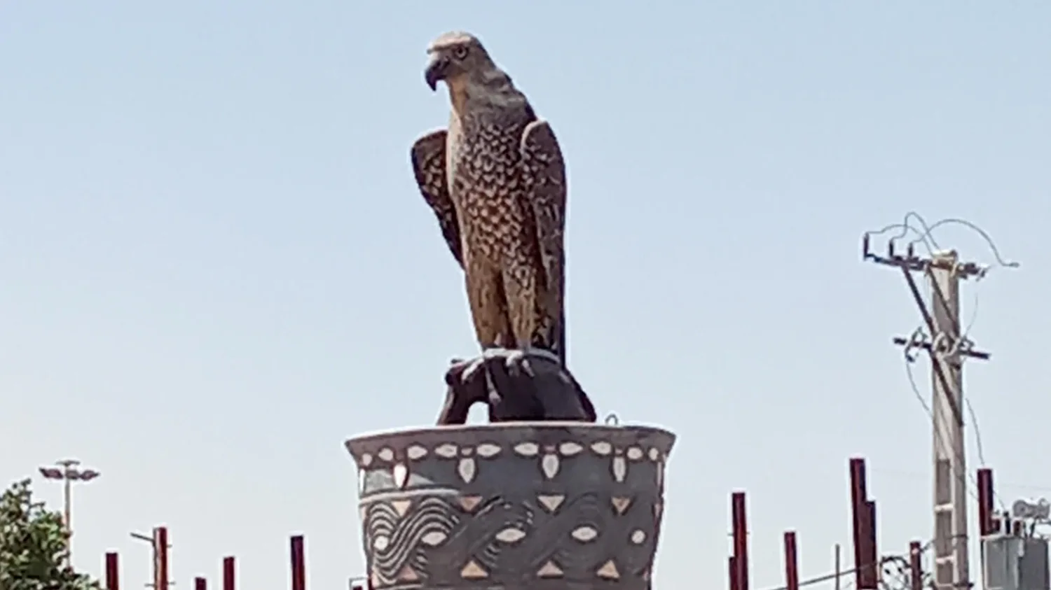 مطب دکترسالاری