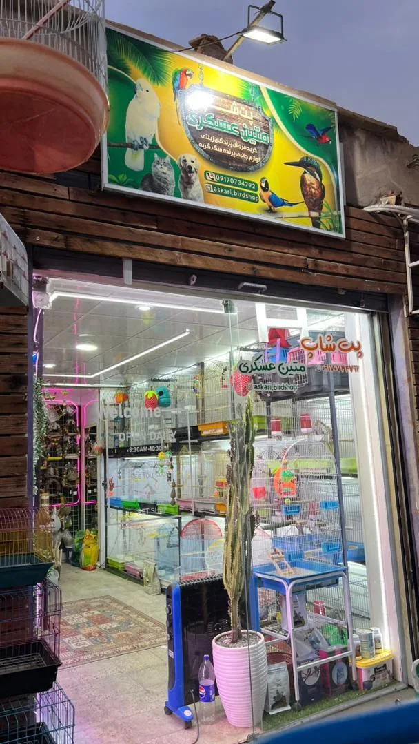 پت شاپ متین عسگری