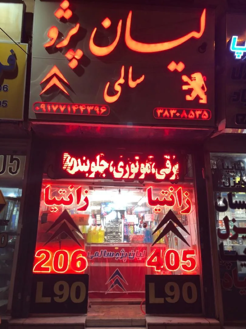 لوازم یدکی لیان پژو سالمی