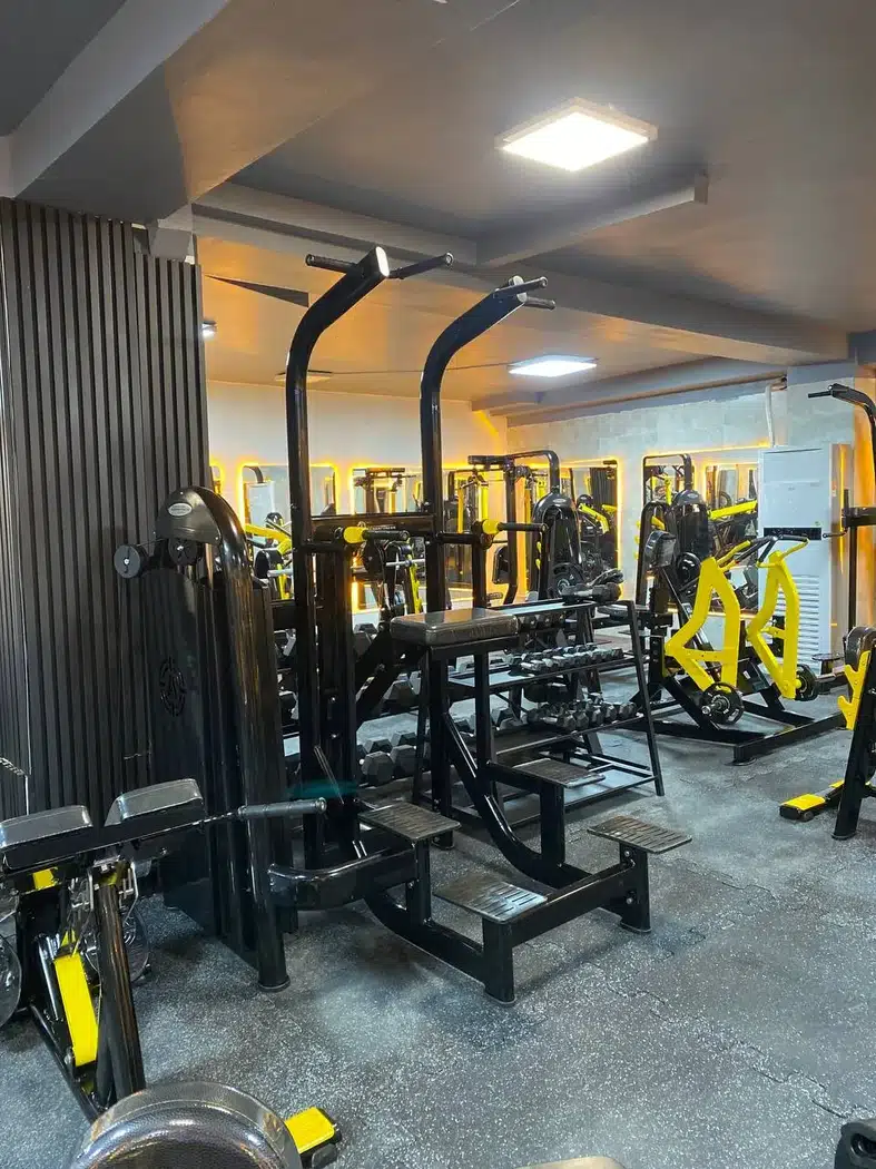 باشگاه بدنسازی شیران