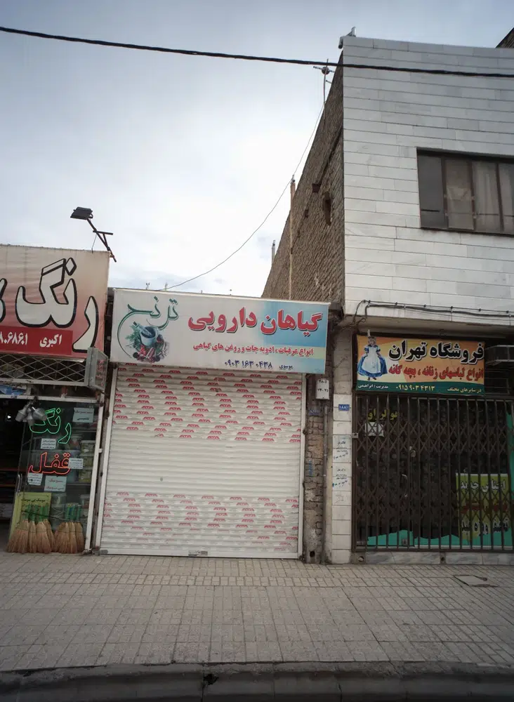 گیاهان دارویی ترنج
