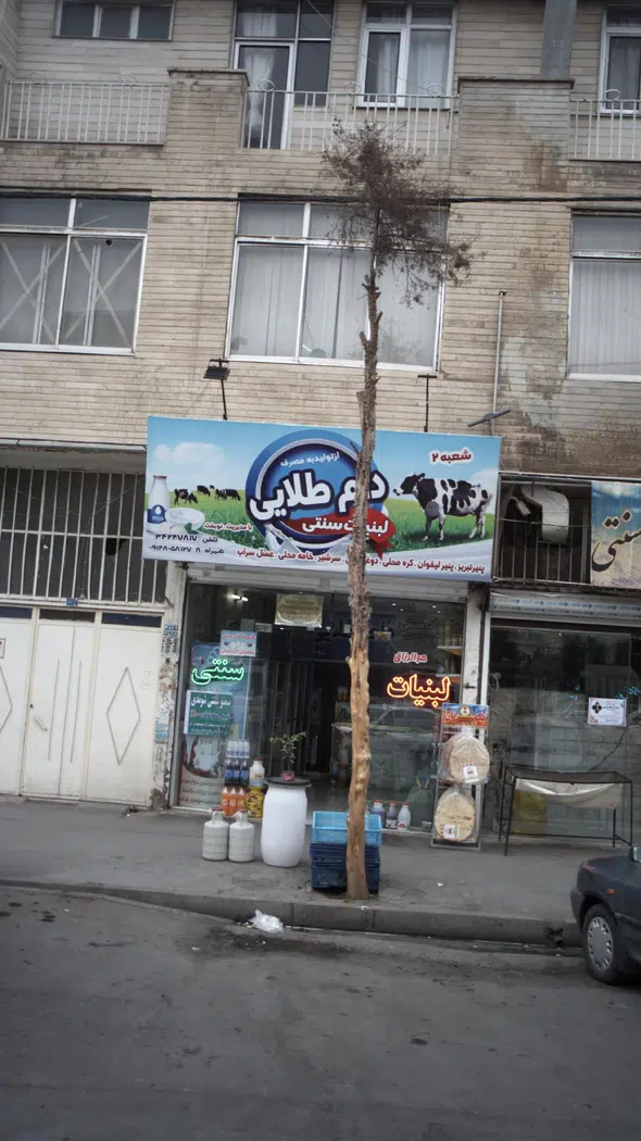 لبنیات سنتی دام طلایی