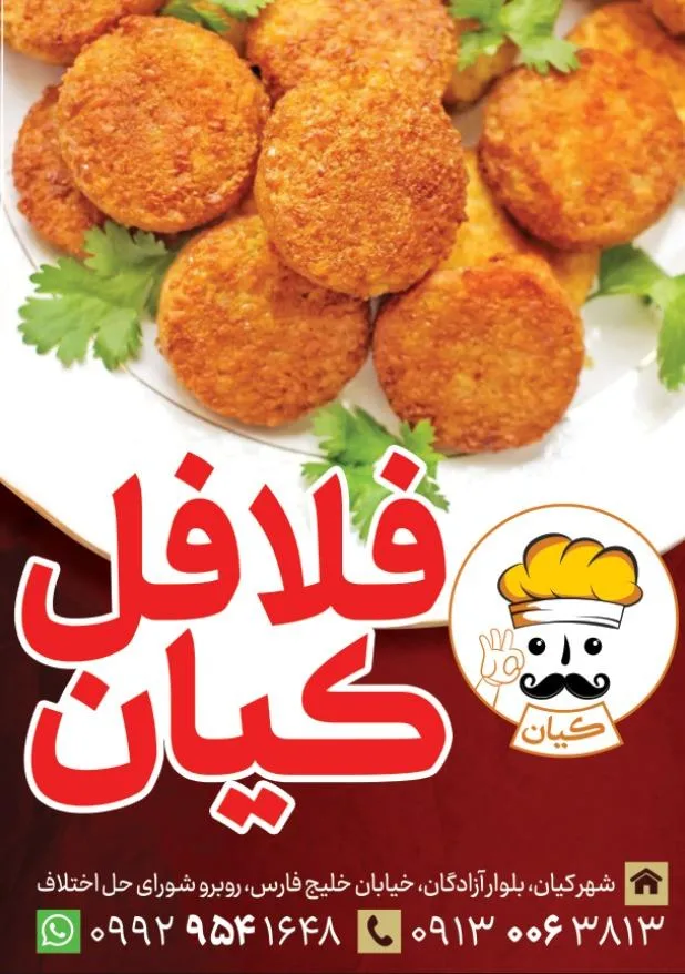 کارگاه تولید فلافل کیان