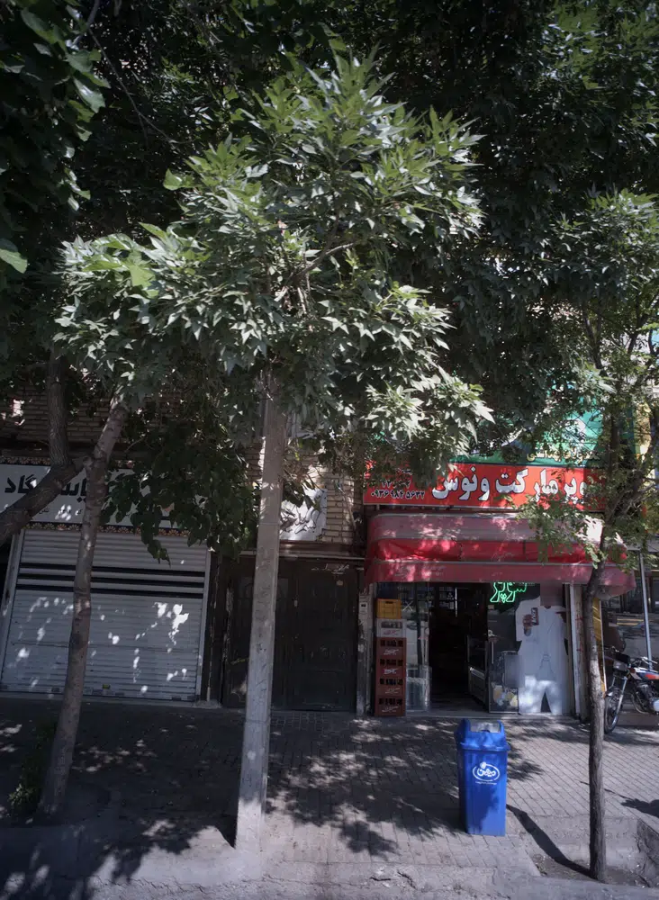 سوپرمارکت ونوس