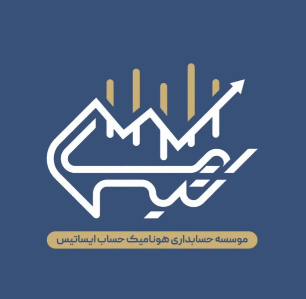موسسه حسابداری ایساتیس