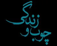 هایپر چوب و زندگی