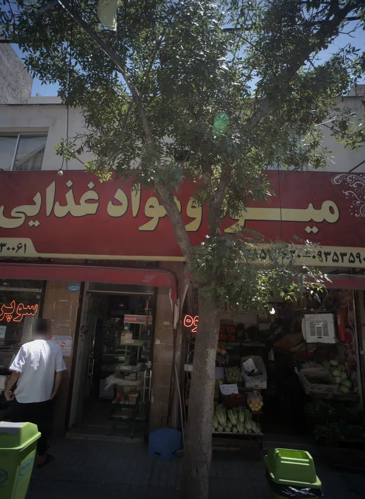 میوه و موادغذایی کاملی