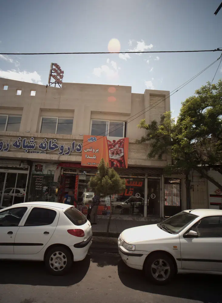 پروتئین یلدا