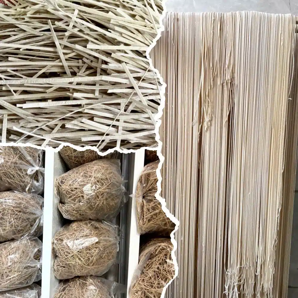 رشته بری بخشی پور