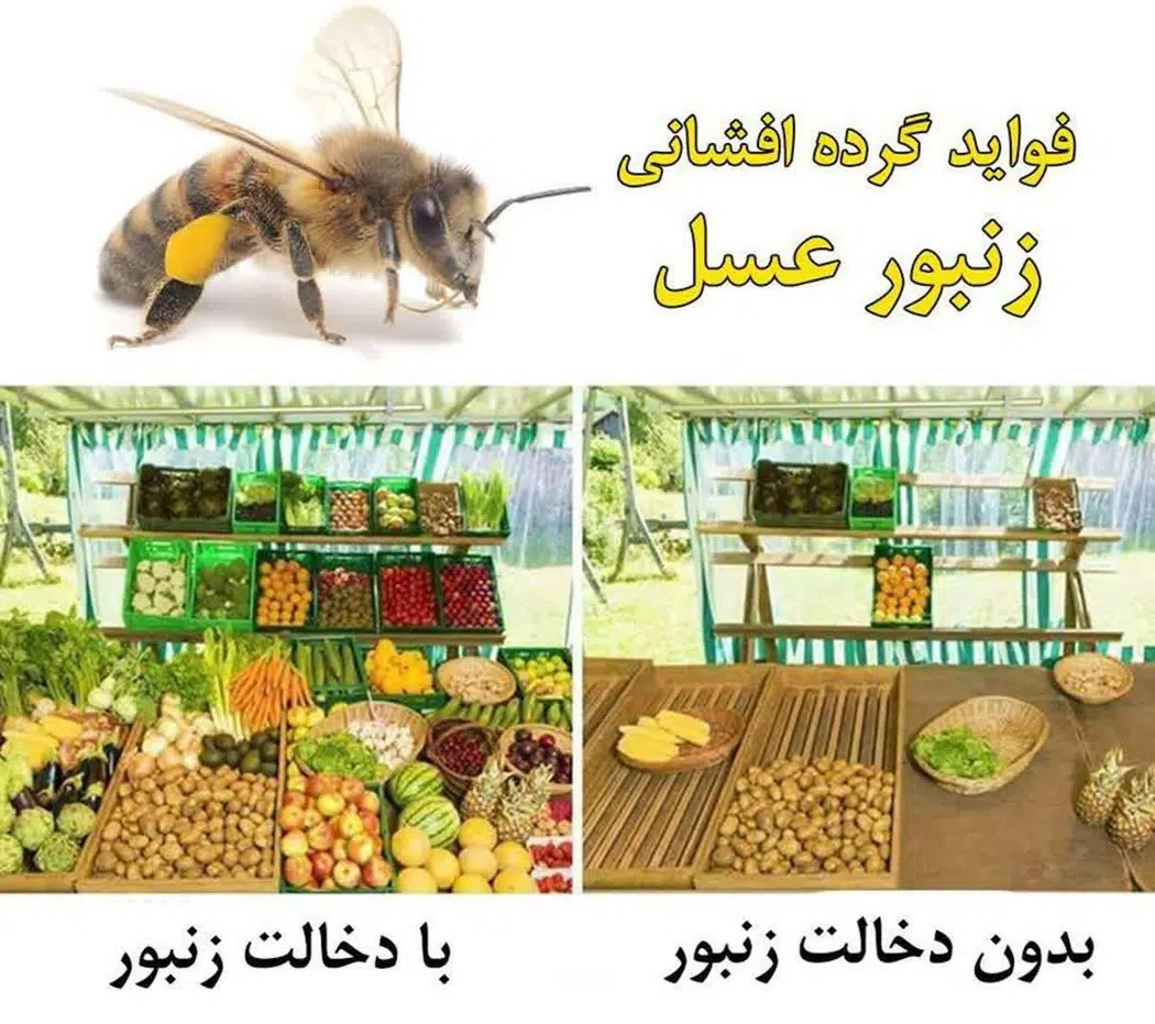 فروشگاه عسل شادیفر