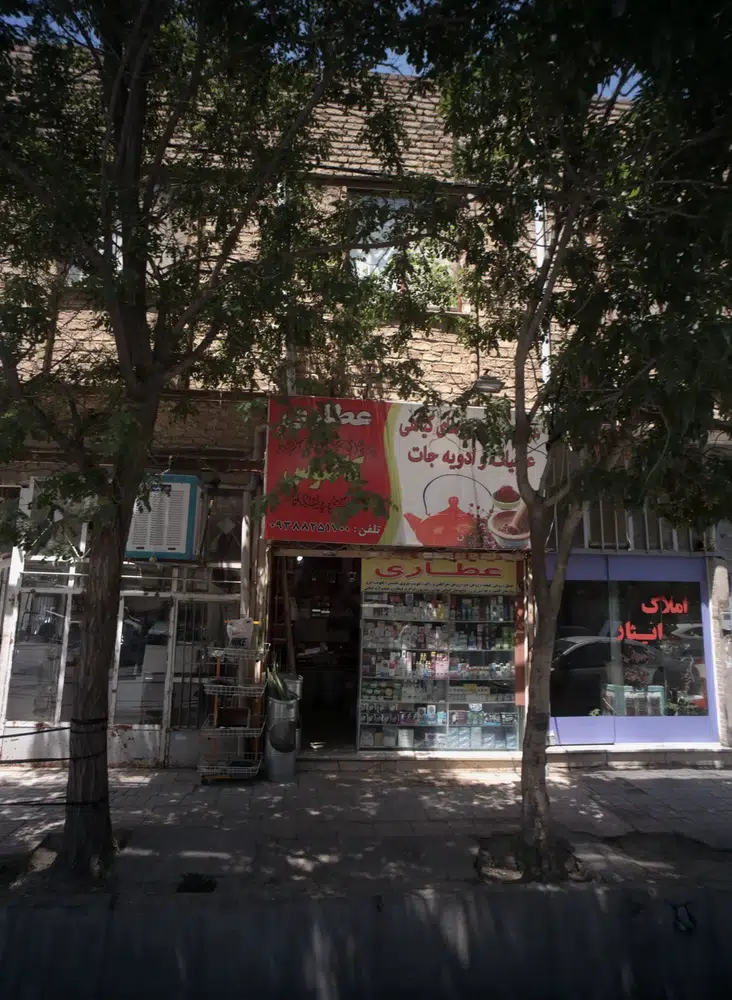 عطاری کاکتوس
