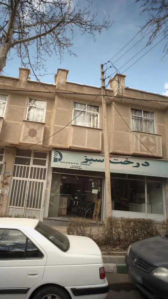 درخت سبز
