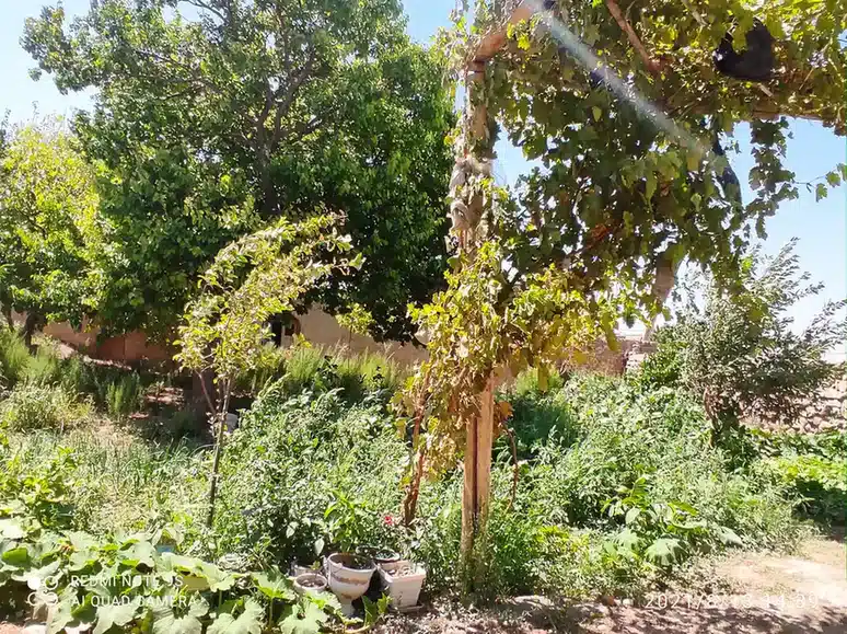 اقامتگاه ملکی